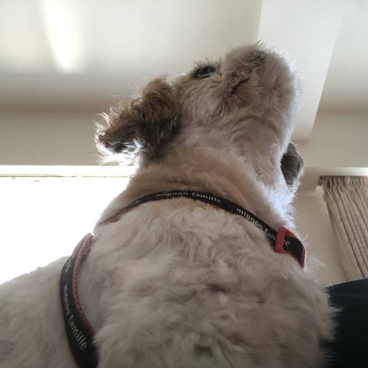 46b555d3 12cd 4c7f 8d02 ffde612ddc13 1600897755410