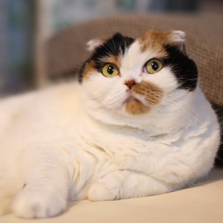 46b5bec6 eb9f 4537 a060 feb5e6d2cba3 1604412692199