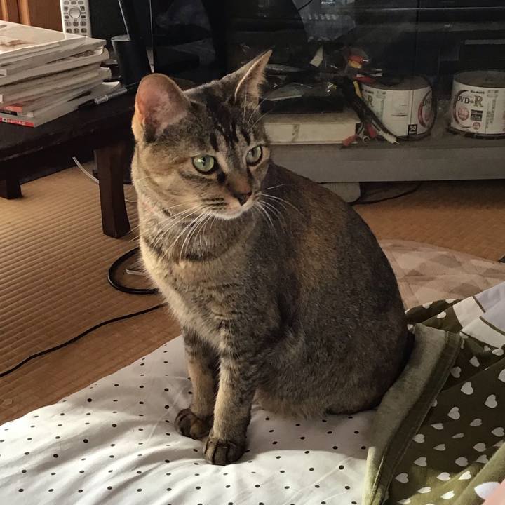 46b6247b abe5 4ce5 a563 75690d2add76 1606695783519