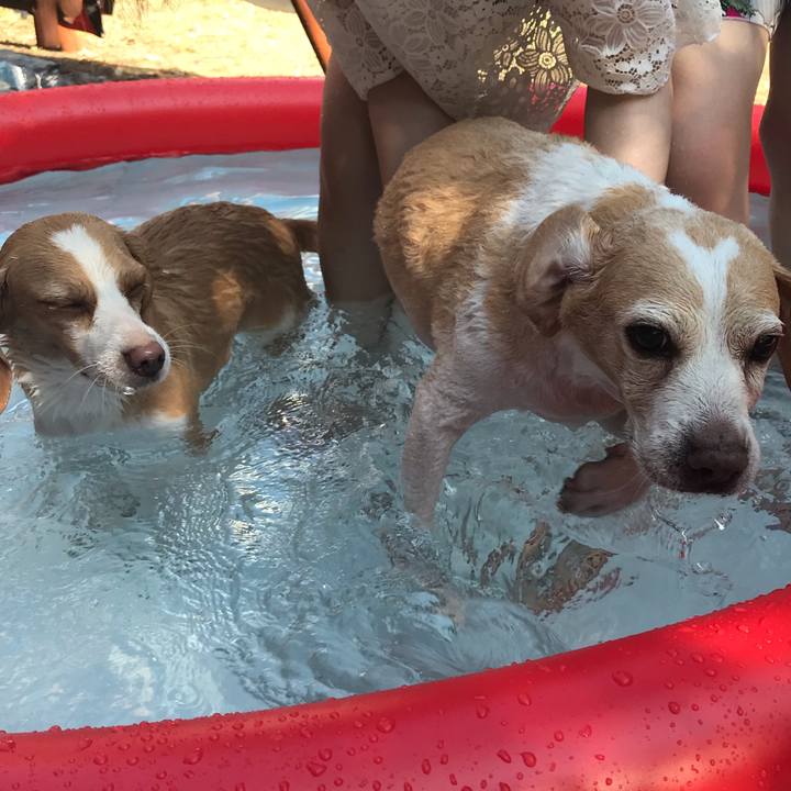 46b68968 50d9 41ad 95d4 2051f3bffe3e 1564834657857