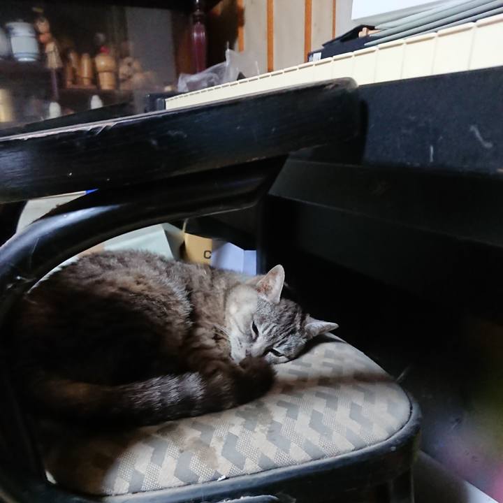 46b69087 9f2a 45c2 97c1 55a16e55a573 1567196421109