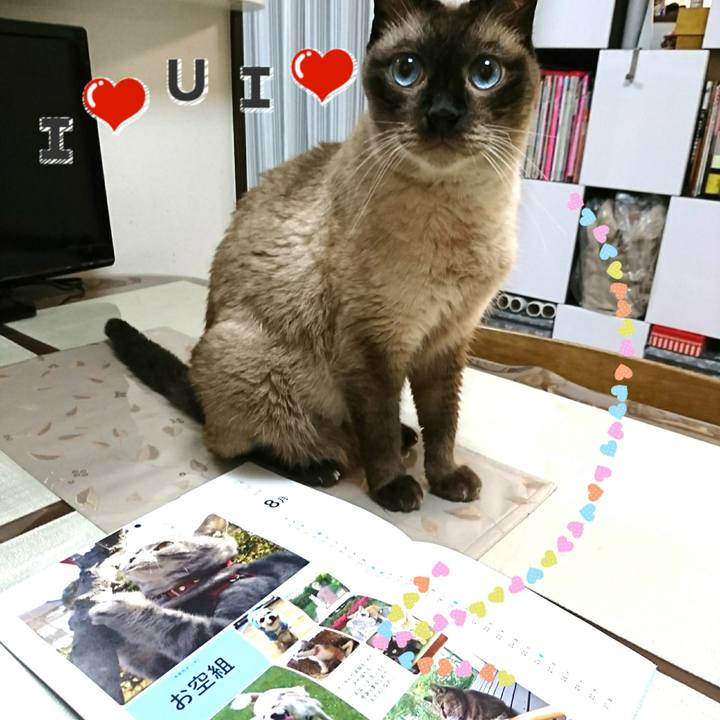 46b6af72 6cce 4c0e a254 6746e201c147 1533431470175