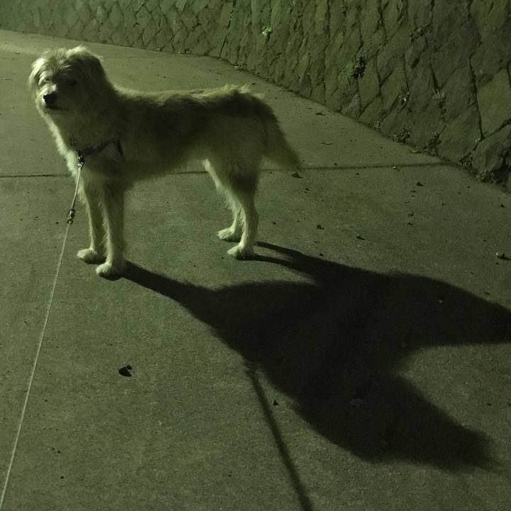 46b6c22e 4543 4865 964b eb6af6e91a2b 1542021435905