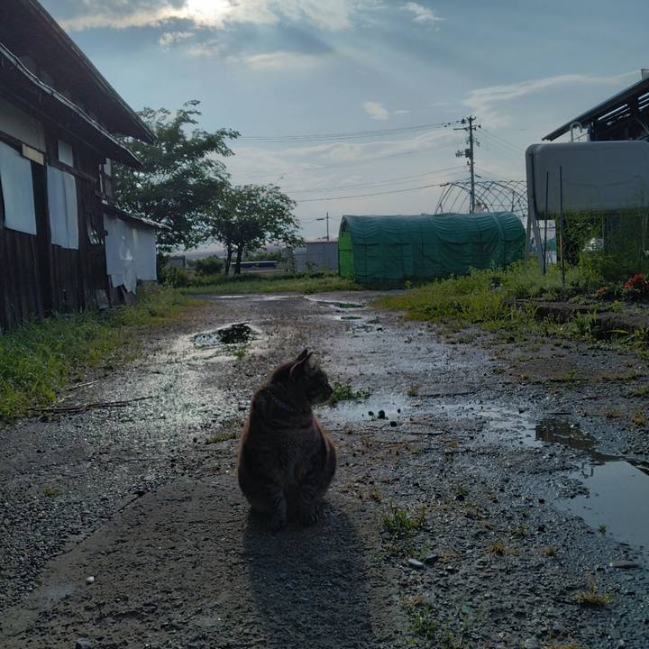 46b6cd05 1bb5 46f1 9c19 057151c59292 1687993398481