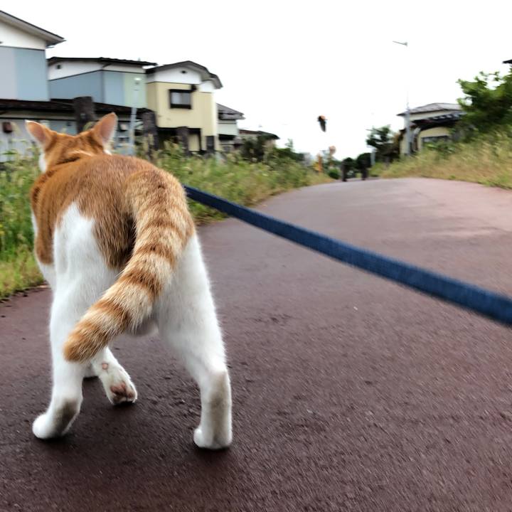 46b6ed4e 12ce 4299 a63a 4a6c890d0b56 1539751677774