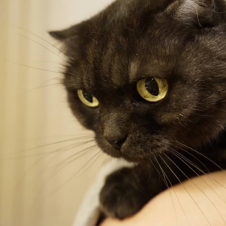 46b6f3fc 0178 4be4 b830 35392d1a72c5 1578609743099