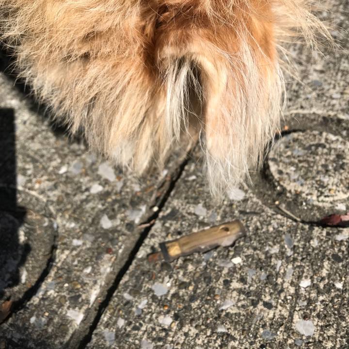 46b7148b 1c22 4dfd a354 13b58b98fdbc 1604148308383