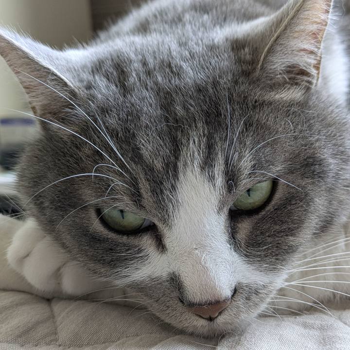 46b7352d 4baf 47c6 8df4 b48c8335c2f6 1751066982421