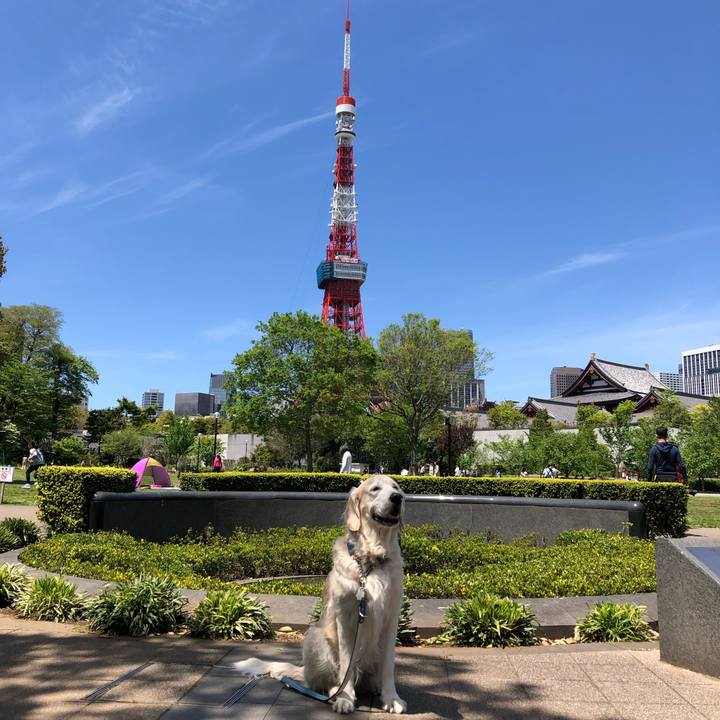 46b74914 5e62 4348 860a dec99a56cf34 1557139060591