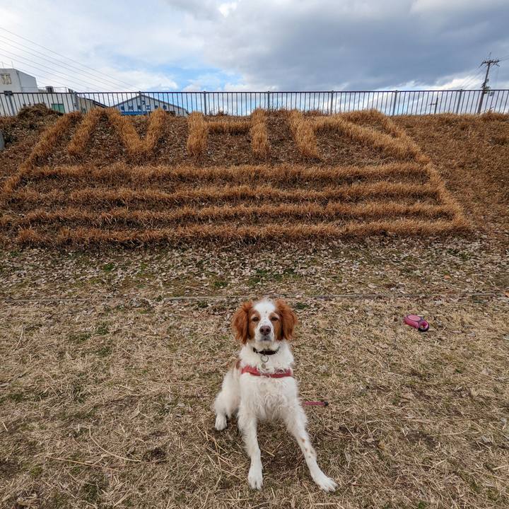 46b756da 4748 46a4 9e74 1cf243b8604c 1643880952152