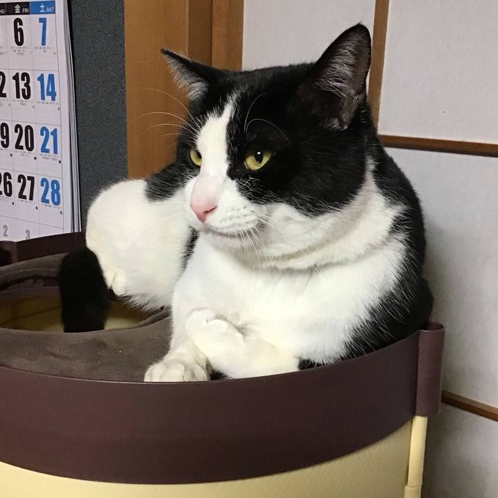 46b760f7 1a75 4dcc a137 ea4c394e19a4 1674910271010