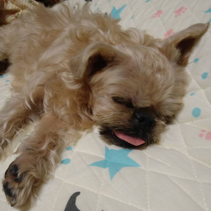 46b78661 4894 45fa b4fa 0d0682404fa3 1655987258384