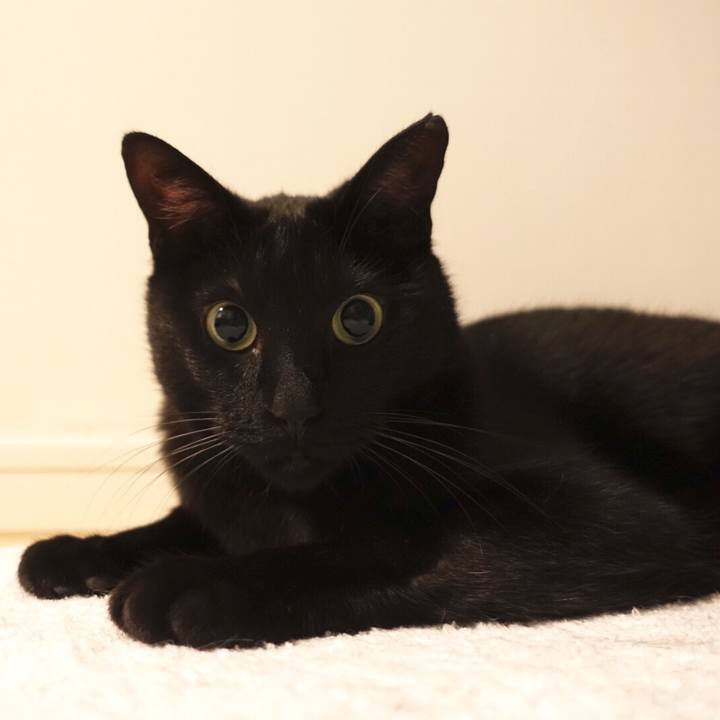 46b7951d 0f7f 4060 8adc eec3c61593f1 1540954348785