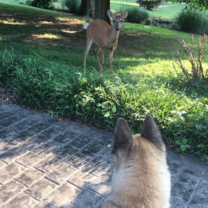 46b7aa5a 0cb1 48b9 8d42 5b97457ecac0 1531366815577