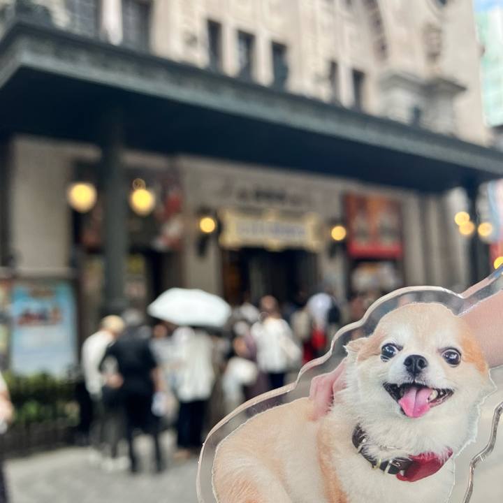 46b7e21e d6a0 4fac be62 758562763d08 1752331311081