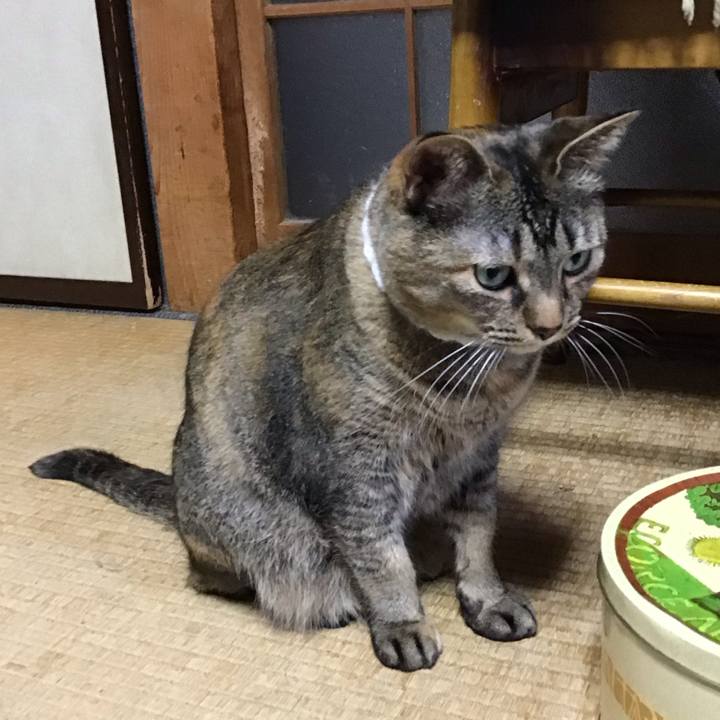 46b7ec85 a91c 430b 8799 8701c7b18d1f 1747559438230