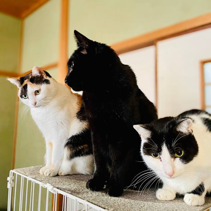 46b7ecc8 3258 4483 aea7 90dfc462e680 1610678035773