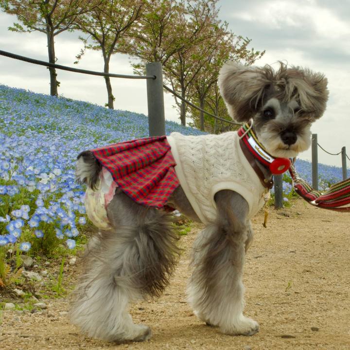 46b7f972 e009 4d9a b13e f4b0c6f4b6c5 1713337696512