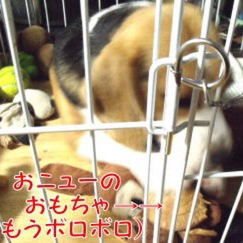 46b817f0 bb2f 4834 b94a 6f6cb51f1cd8 1690842294269