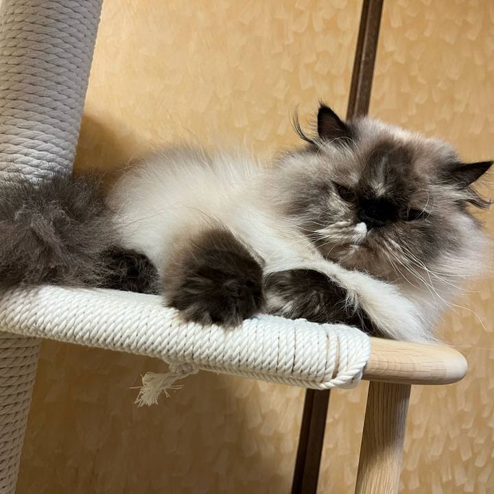 46b83165 c82d 47d7 9d67 d0b012f07f6a 1691672372093