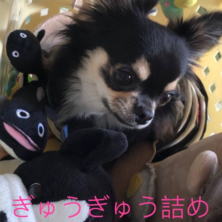 46b88a2f 924d 4227 be13 46932d69380c 1567803206204