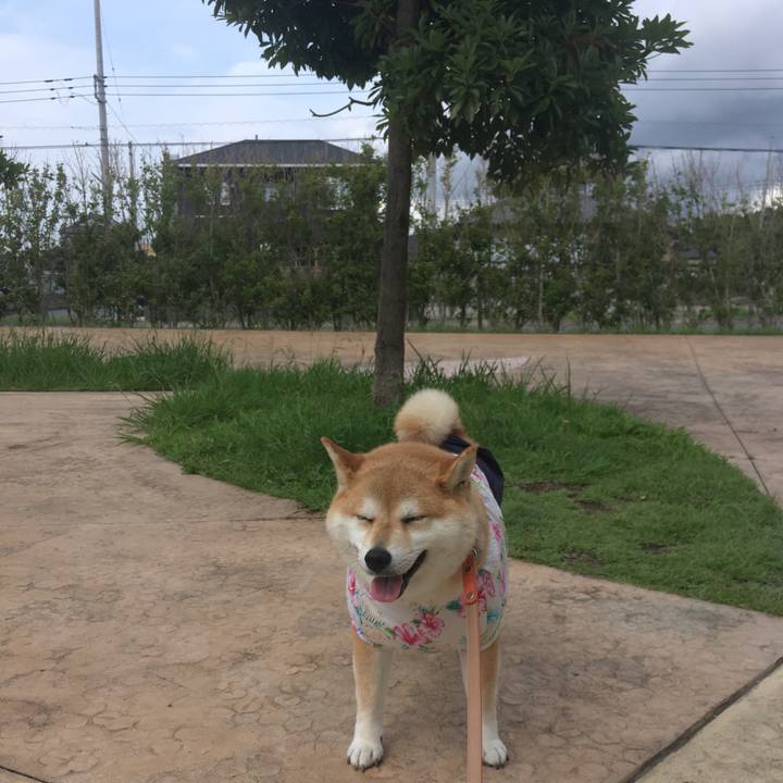 46b89726 3d4b 4eba 93eb 34a12690e6e4 1563435180267