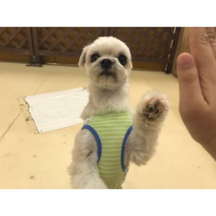 46b89b62 a3f4 4d11 b64f 1ef7d5e76ffb 1539984486672