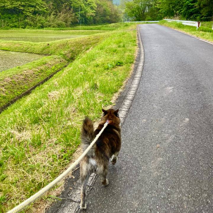 46b8a6b2 dee8 4b73 9319 37c14fc86c8a 1652337439377