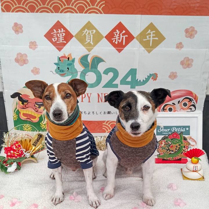 46b90676 272a 446d 8329 3067d08f1fef 1704062287186