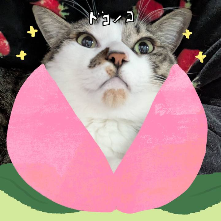 46b91e05 d43b 4b10 ac93 ace371281b32 1771882216503