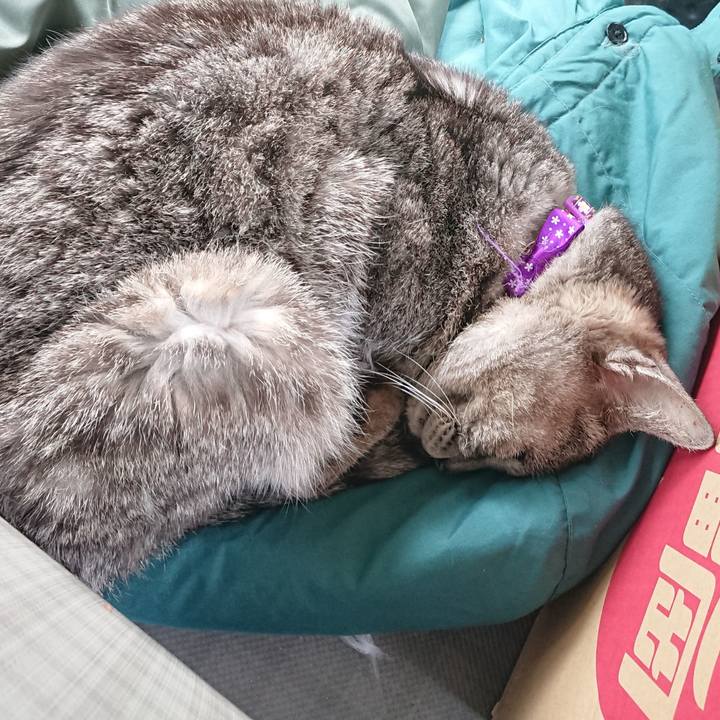 46b95fd8 955d 4fc9 8ee7 51dc9a48768b 1584766906235