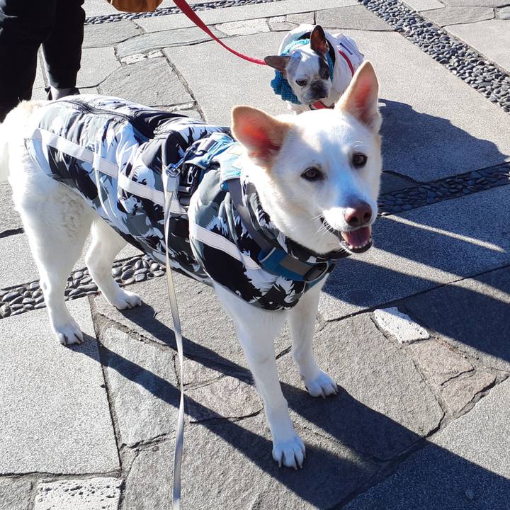 46b9660f ca58 40fd b1d3 bac65e176d6b 1674877579138