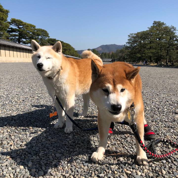 46b96ec9 26ee 4271 9eb5 9f40078648cd 1584014280471