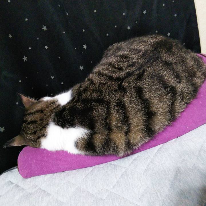 46b98361 c812 4220 9f25 7d7caf0b1fe5 1632648298266