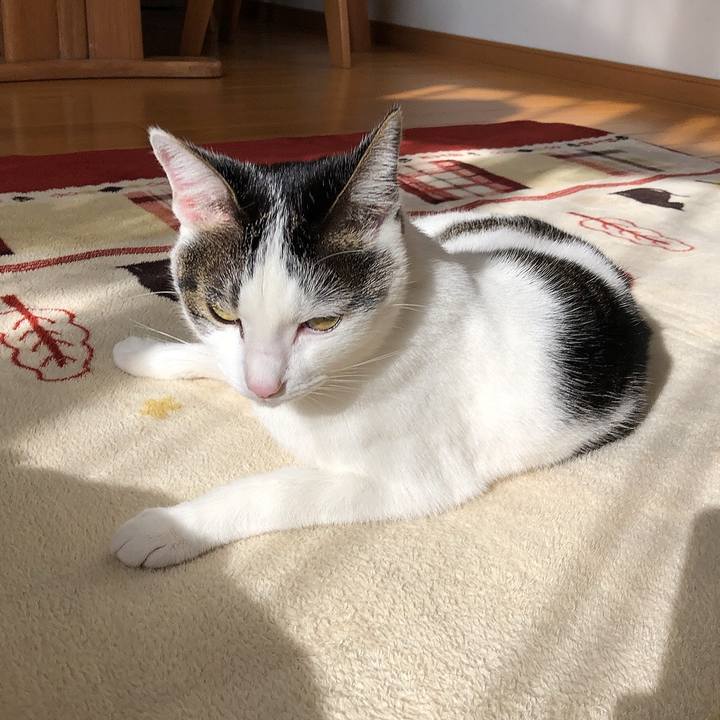 46b9a0f2 a9f8 4368 8bb3 e7cc461744cf 1701146628124