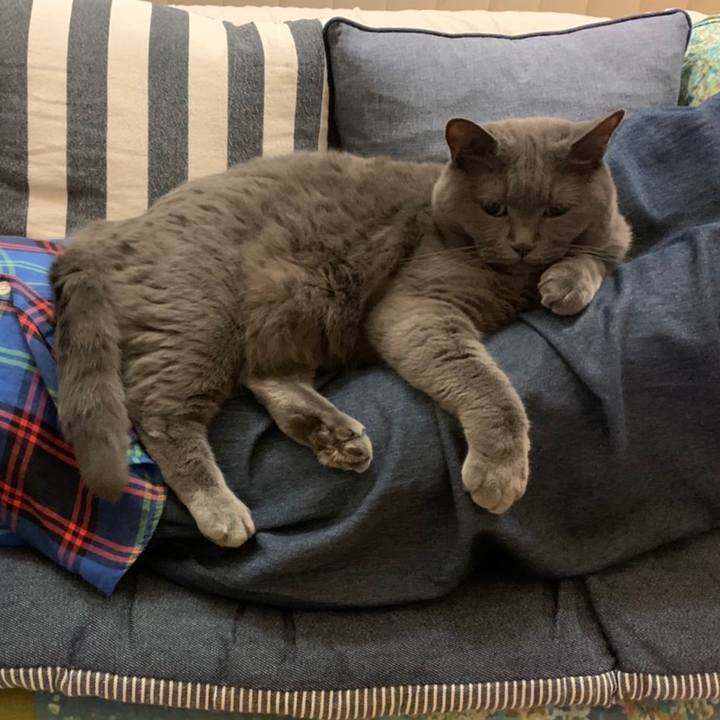 46b9a555 a46b 45d6 919a 2625987f2b83 1635552902907