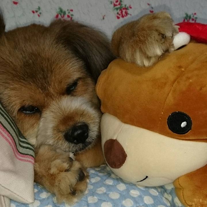 46b9a578 e8ef 43bf 889f 6cefec738158 1535199566623