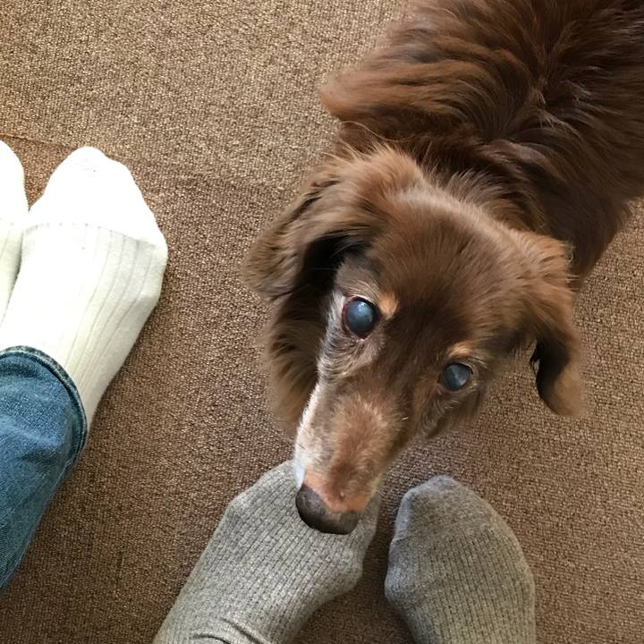 46b9bb23 2474 49bb 806a 76ab5a509654 1513991105031