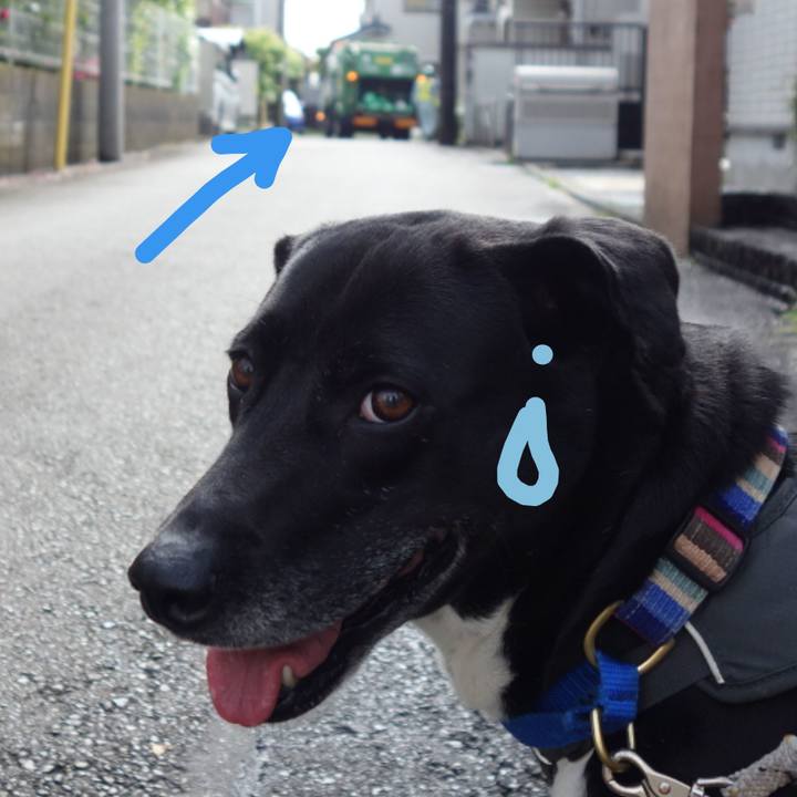 46b9c579 03a7 46d9 9dda 6cede9859494 1650588832208