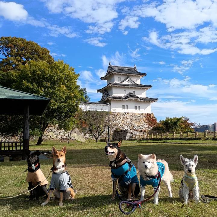 46b9d469 5568 4c60 aa60 0fc2d8419fa7 1762868520448