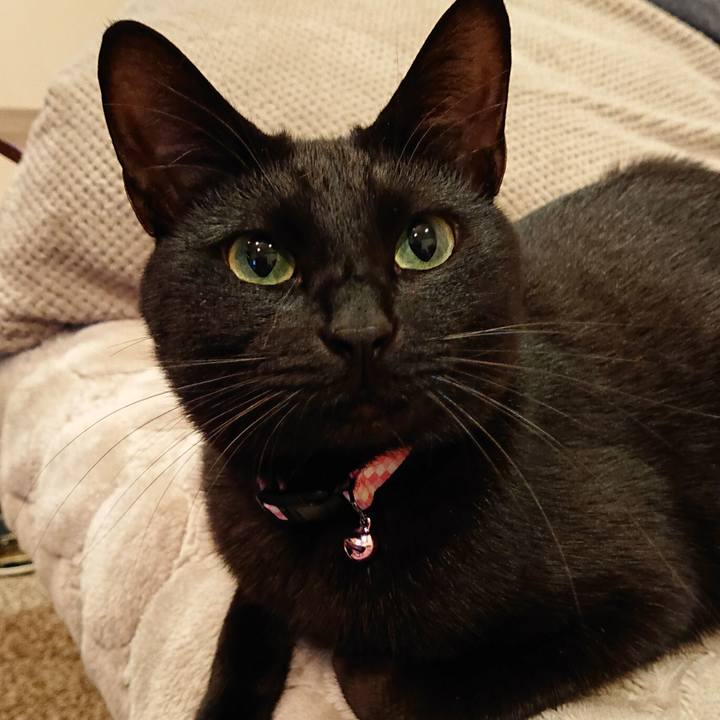 46b9e3b3 b00d 4231 976c 37c4160a90fe 1542639307615