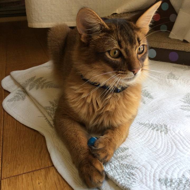 46ba2a66 13f7 490b 9ec4 c907b8df07d4 1589170036057