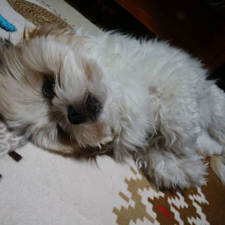 46ba7b58 d4eb 4169 a92c 76862e065fd1 1523708824690