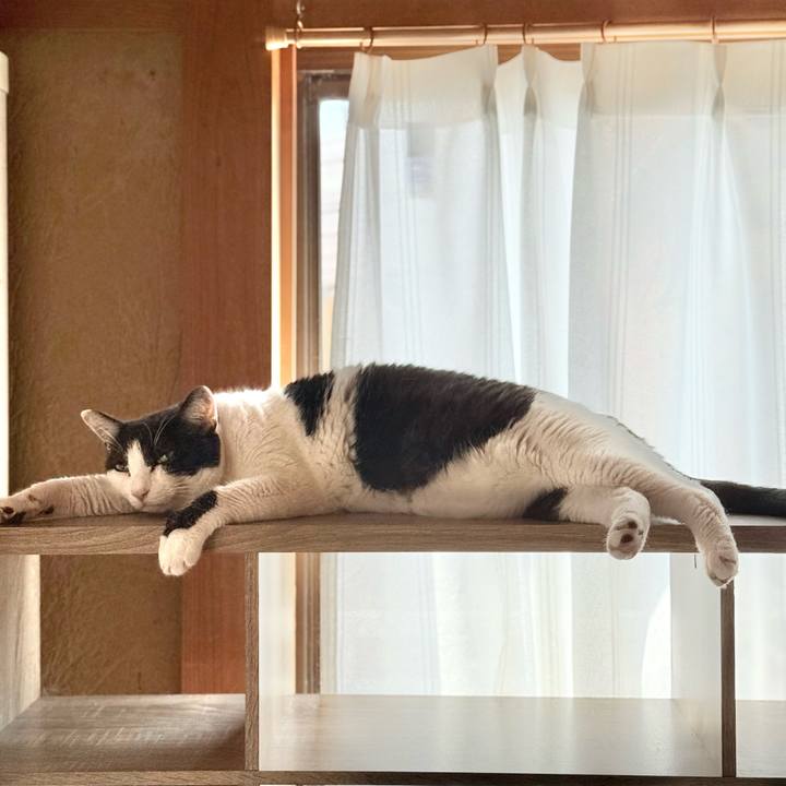 46baa37b 4838 4566 9451 0f3373f1cb96 1755739635049