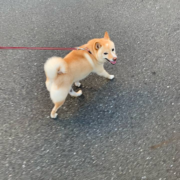 46bab25e 3678 413b b2aa 2e99d92183fe 1628202653071