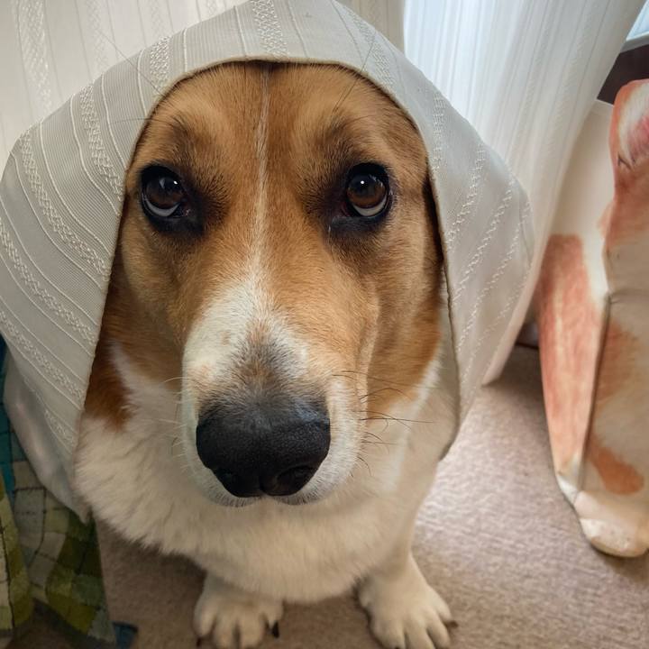 46babc6c 69dc 4e00 88a1 e1556a1721f9 1718322988406