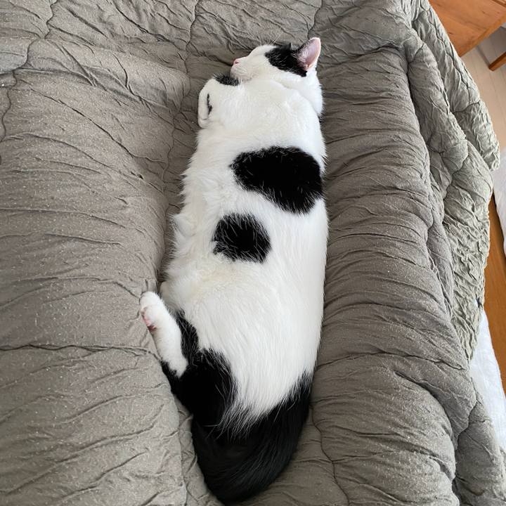 46bb2ad5 cc3e 4ea6 ad2d 05070109e043 1761604142034