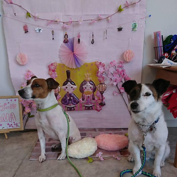 46bba291 55f1 4d55 8e8c 9bdf1fd8569c 1614726486763