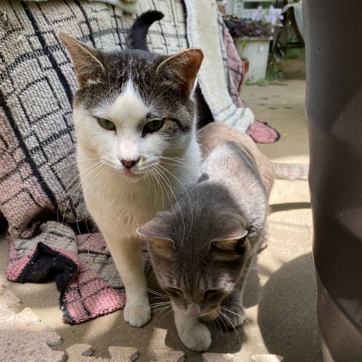 46bba7fd b939 4f9d 9ab6 bfb149b79467 1589547948620