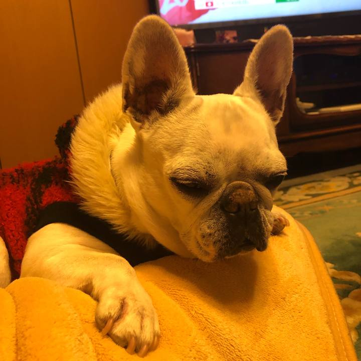 46bbf1ef d825 4c5a a5ff e2b00191a7be 1644738085401